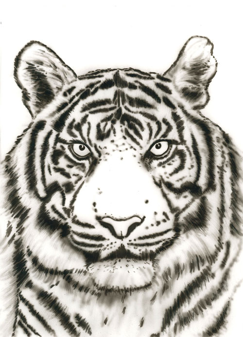  Tiger  Wildlife Harder Steenbeck Airbrush 