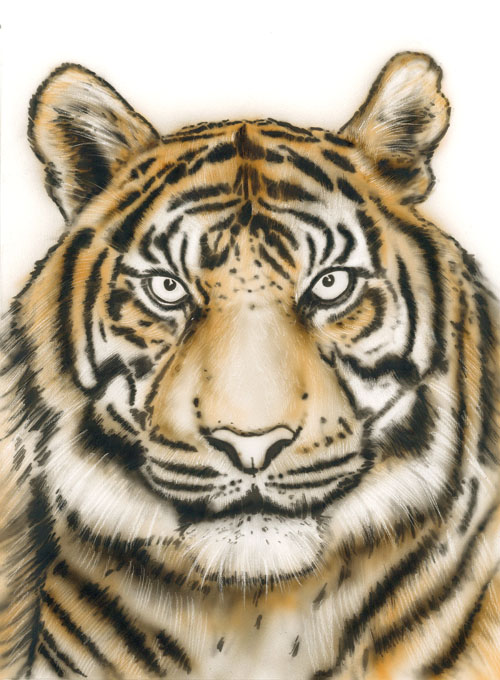  Tiger  Wildlife Harder Steenbeck Airbrush 